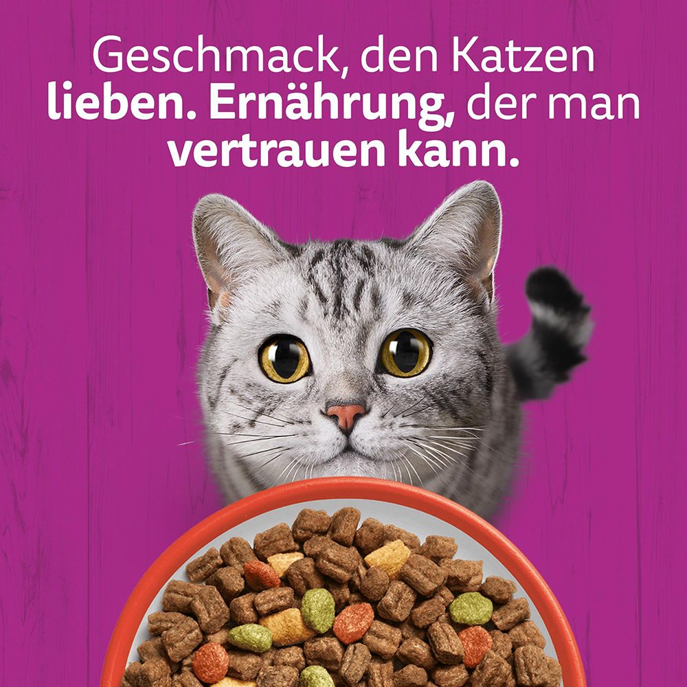 Katze blickt auf eine Schüssel mit Trockenfutter. Text: 'Geschmack, den Katzen lieben. Ernährung, der man vertrauen kann.'