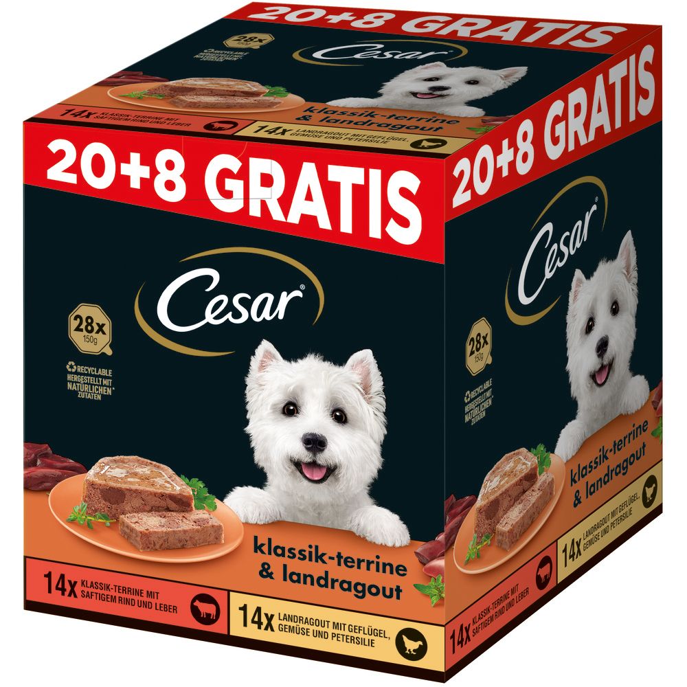 CESAR Schale PLUSPACK 20 + 8 GRATIS (2 Sorten)