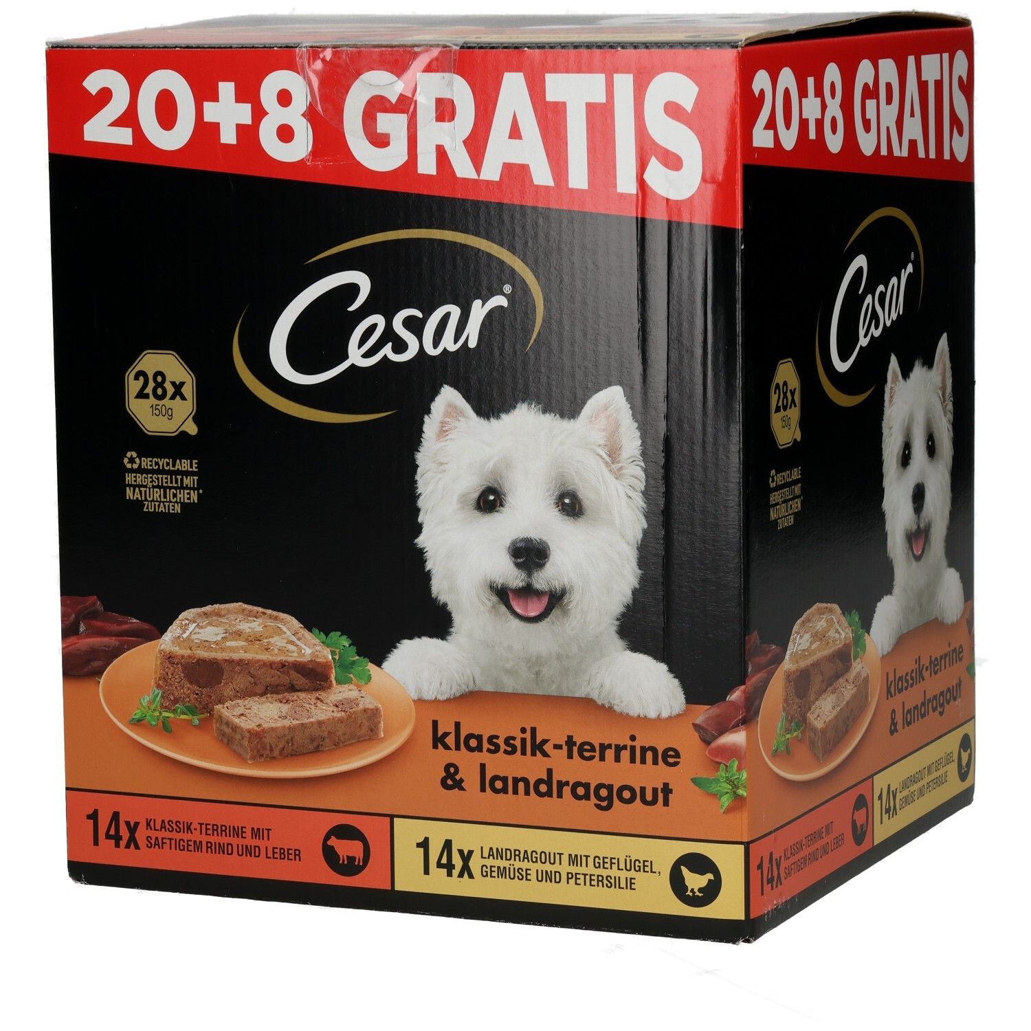 CESAR Schale PLUSPACK 20 + 8 GRATIS (2 Sorten)