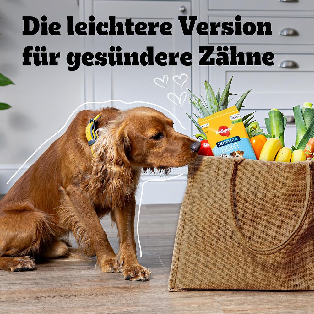 Ein Hund schnüffelt an einer Einkaufstasche voller Gemüse und Obst. Daneben eine Packung Hundefutter.