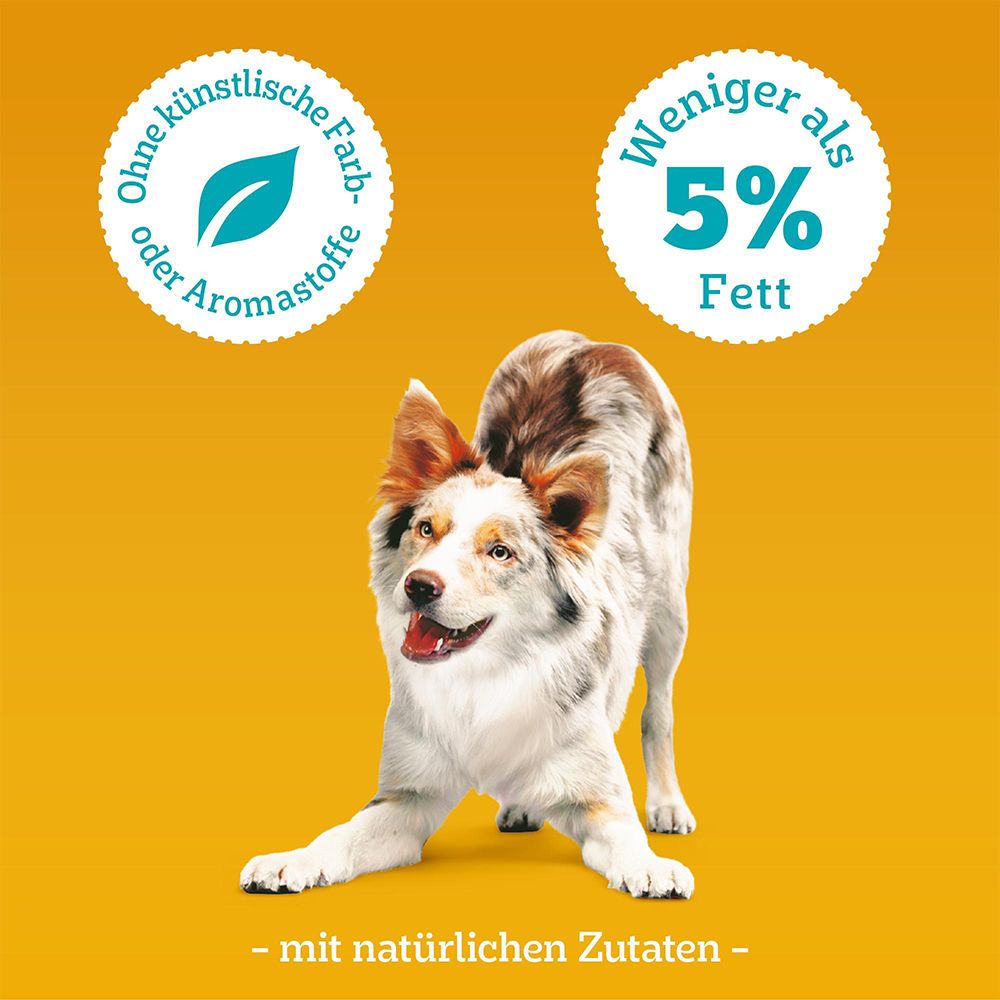 Hund in Spielhaltung mit Text "Ohne künstliche Farb- oder Aromastoffe" und "Weniger als 5% Fett".