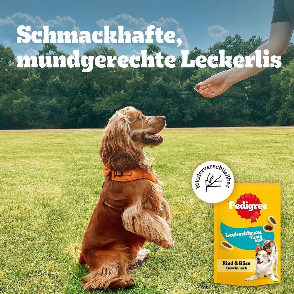 Hund in Spielhaltung mit Text "Ohne künstliche Farb- oder Aromastoffe" und "Weniger als 5% Fett".