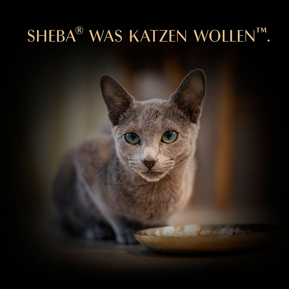 Sheba Nassfutter: Tägliche Fütterungsempfehlung 1x pro 24h.