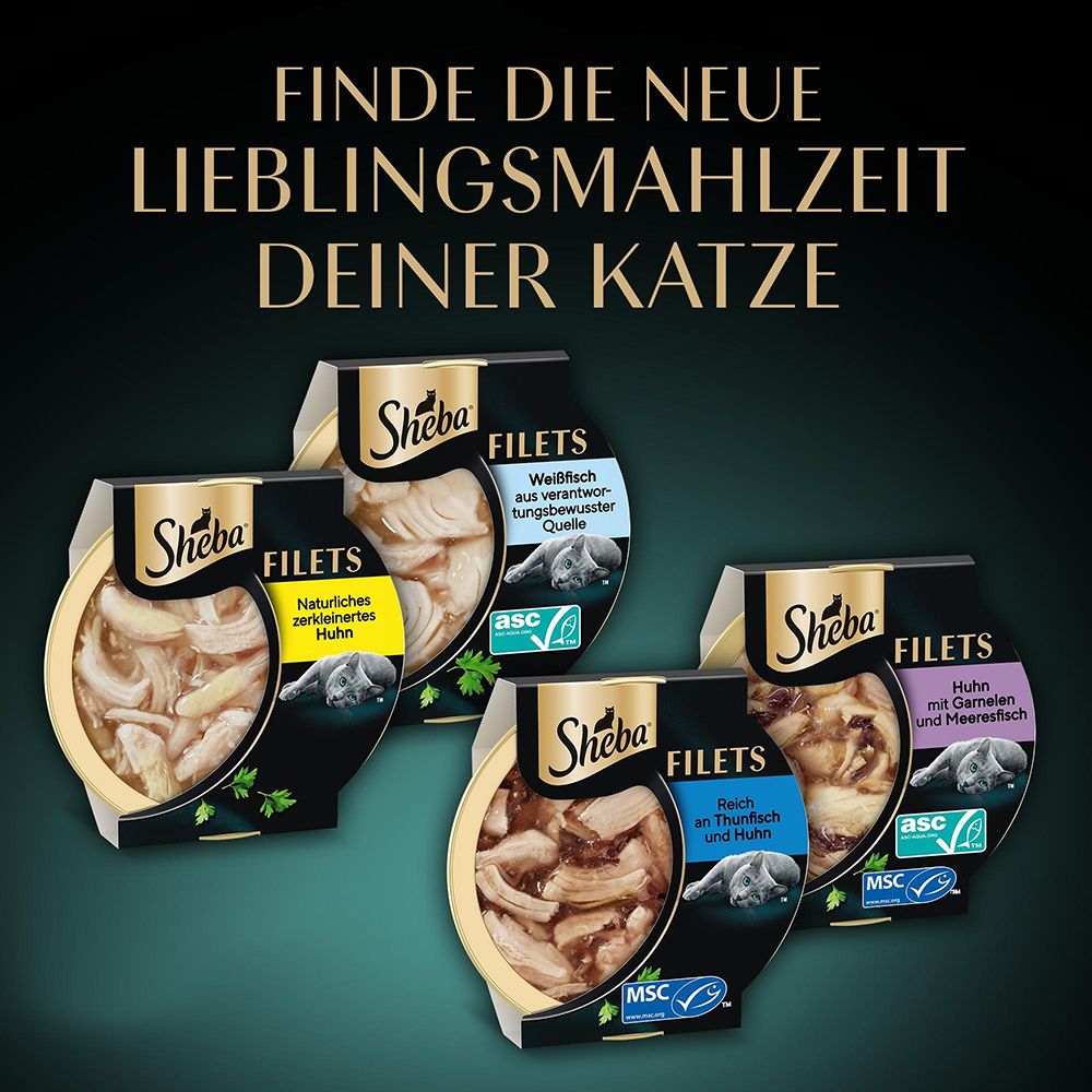 VOHS Accepted Siegel für Zahnpflege-Snacks.