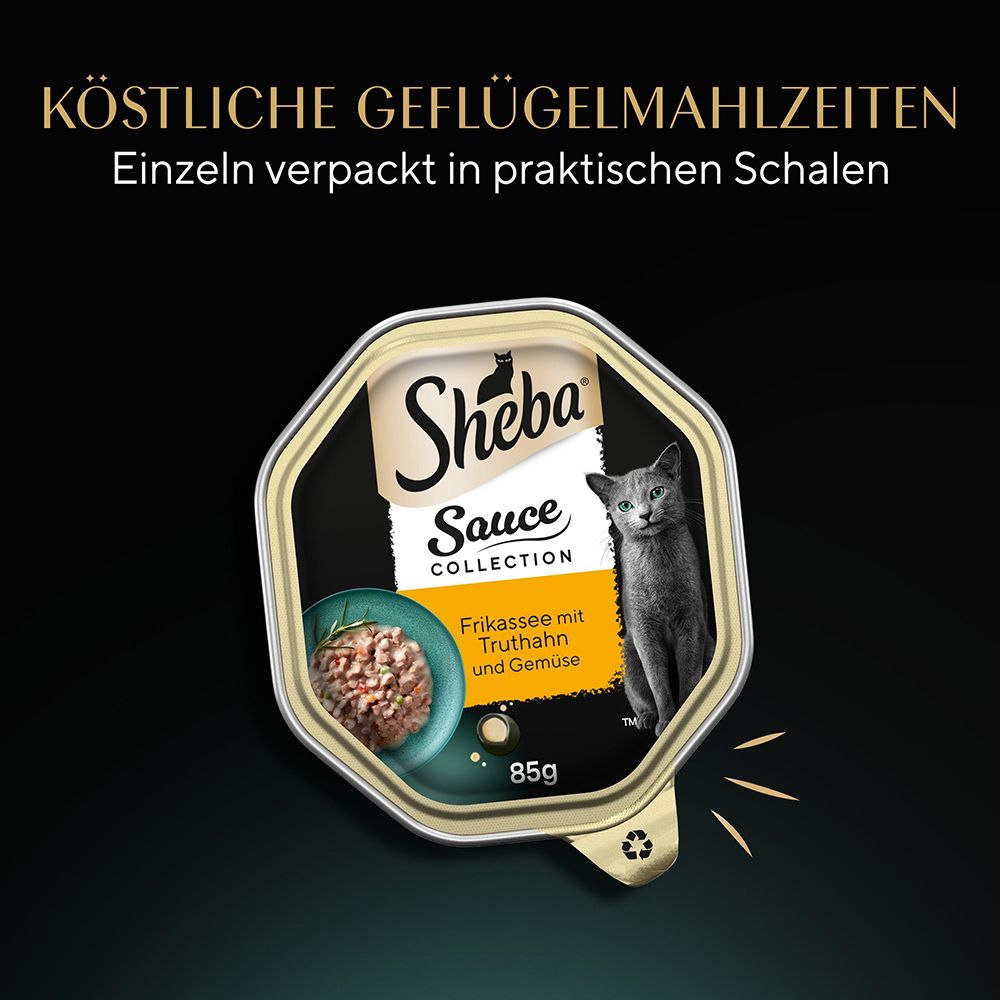 Eine Sheba Katzennahrungsschale mit Frikassee und einer Katze.