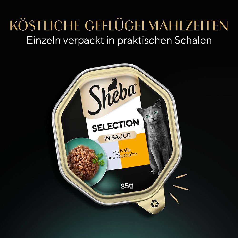 Tägliche Fütterungsempfehlung für Katzen nach Gewicht, mit Schalengrößen.