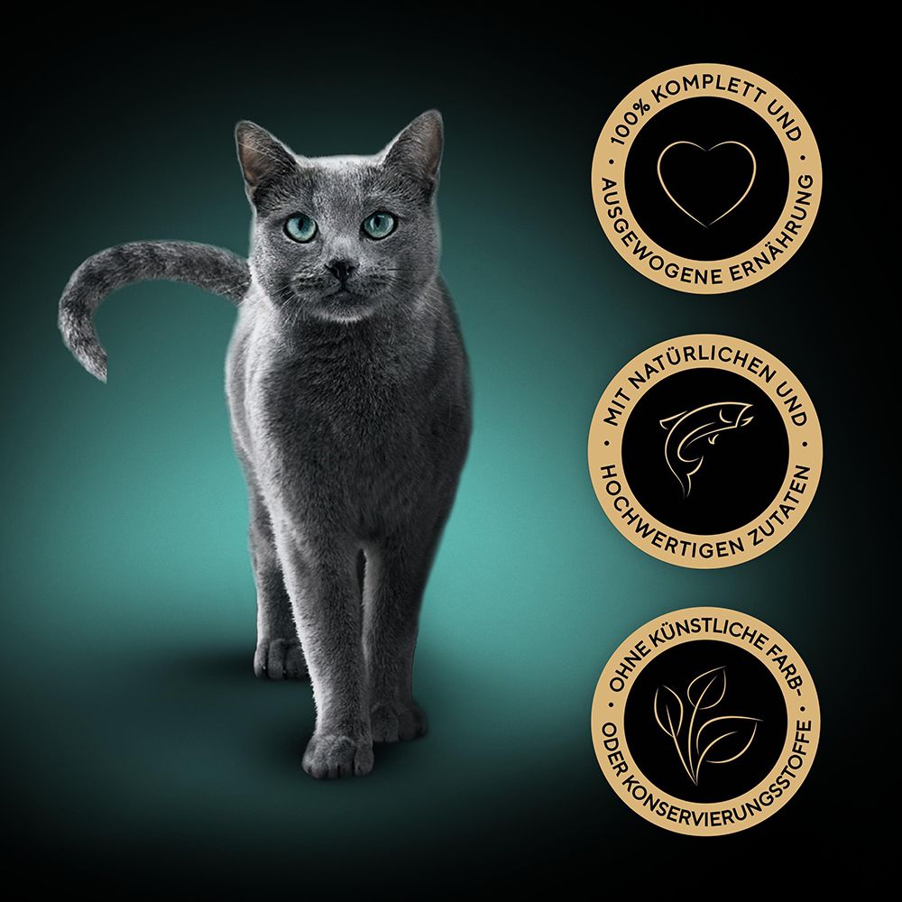 Graue Katze steht vor drei Beuteln Sheba Fresh & Fine in Sauce: Thunfisch, Lachs, Forelle.