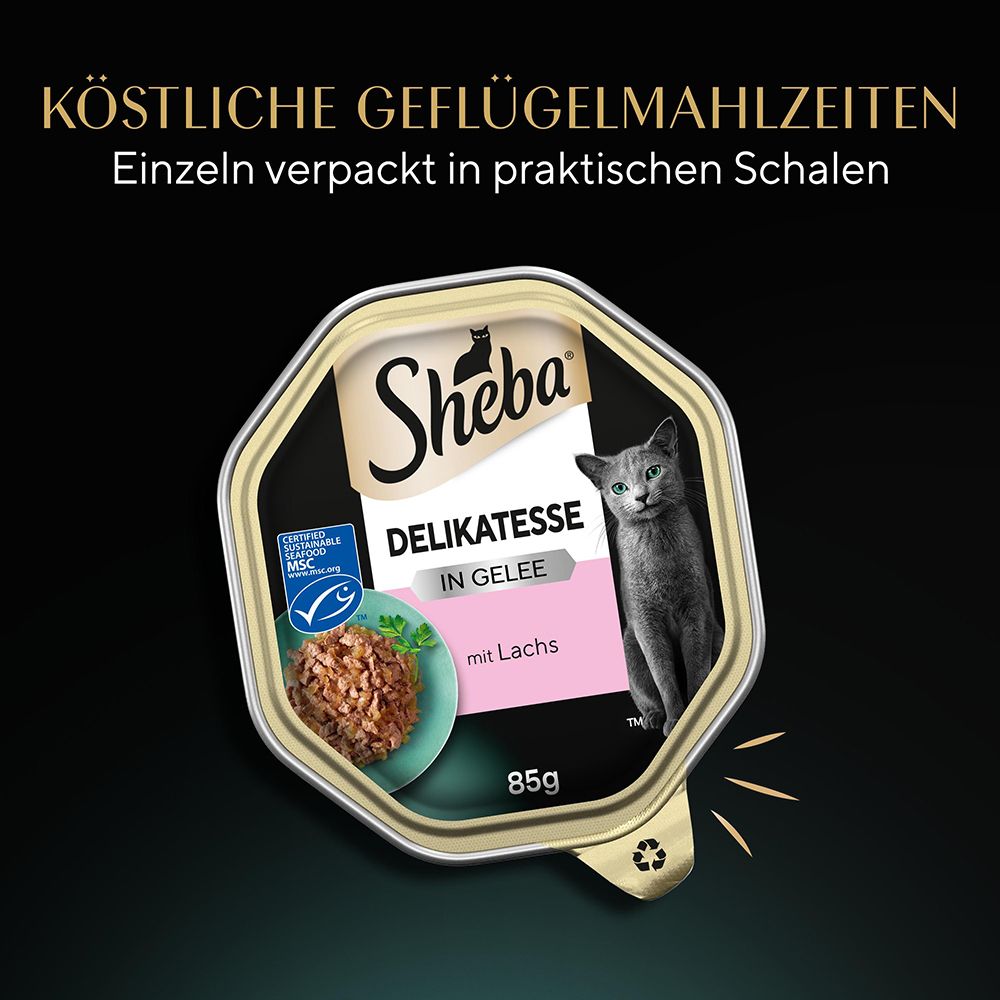 Sheba Delikatesse in Gelee mit Lachs, 85g Schale.