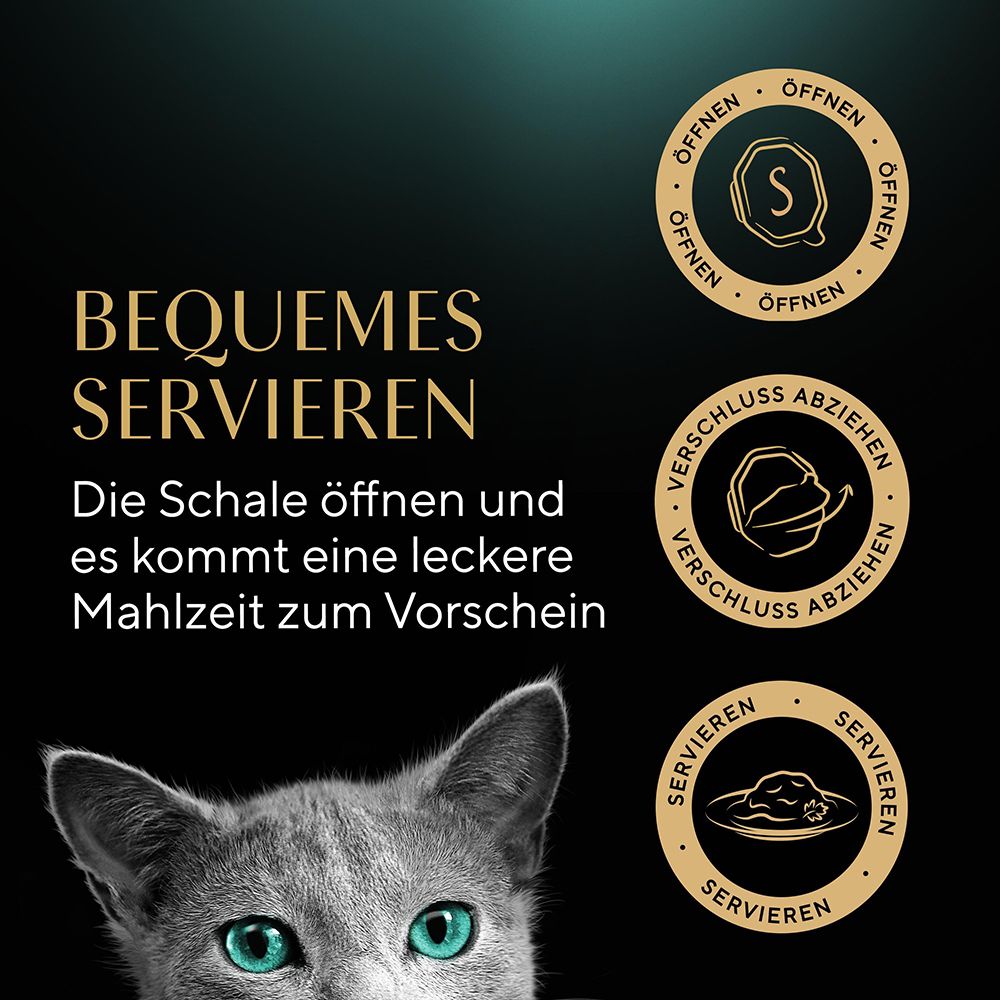 Grauer Kater mit blauen Augen steht vor drei runden Siegeln mit Ernährungsinformationen.