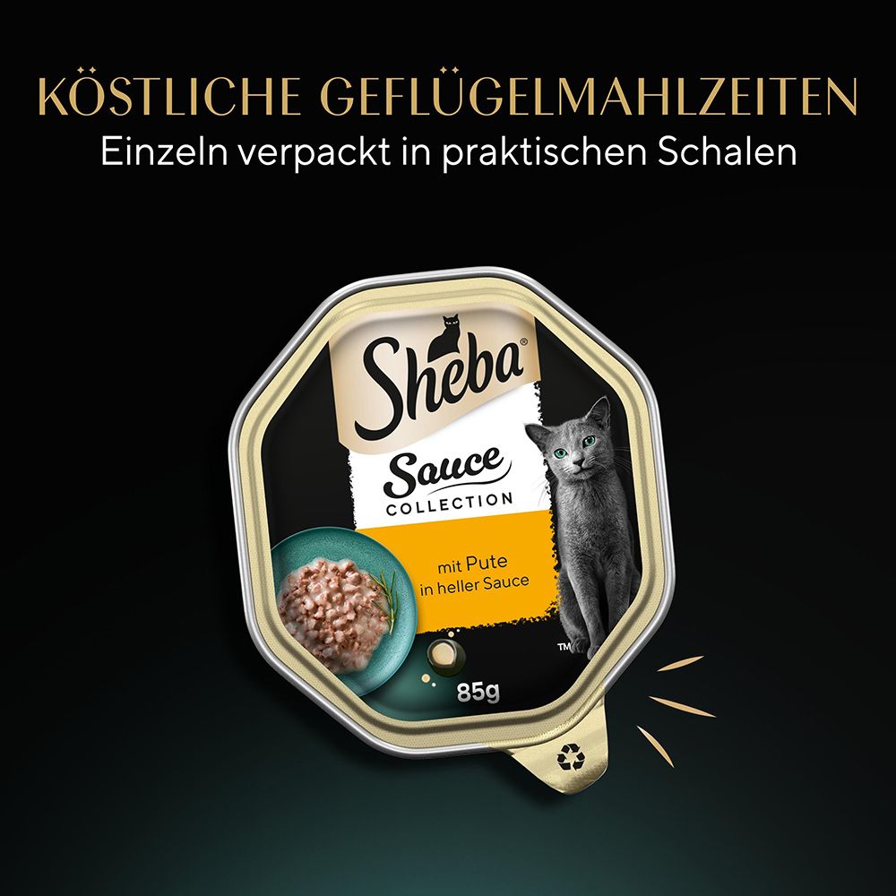 Sheba Sauce Collection: Köstliche Geflügelmahlzeiten, einzeln verpackt in praktischen Schalen.