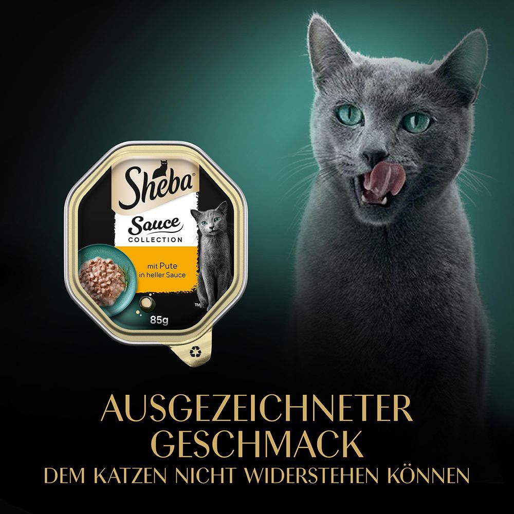 Sheba Sauce Collection: 12 x 85g Schalen mit Geflügelvariation.