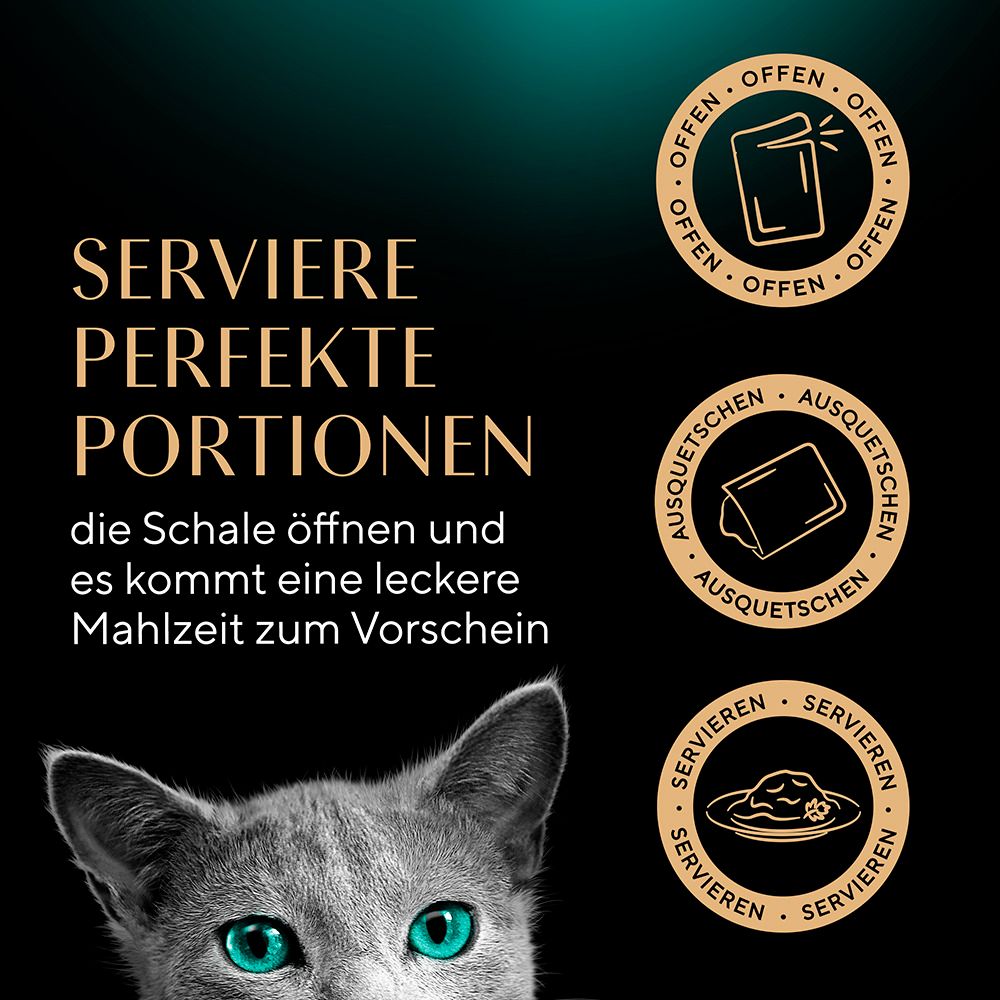 Katzenfutter-Schale mit Fleisch in Soße, daneben eine Katze, die leckt.