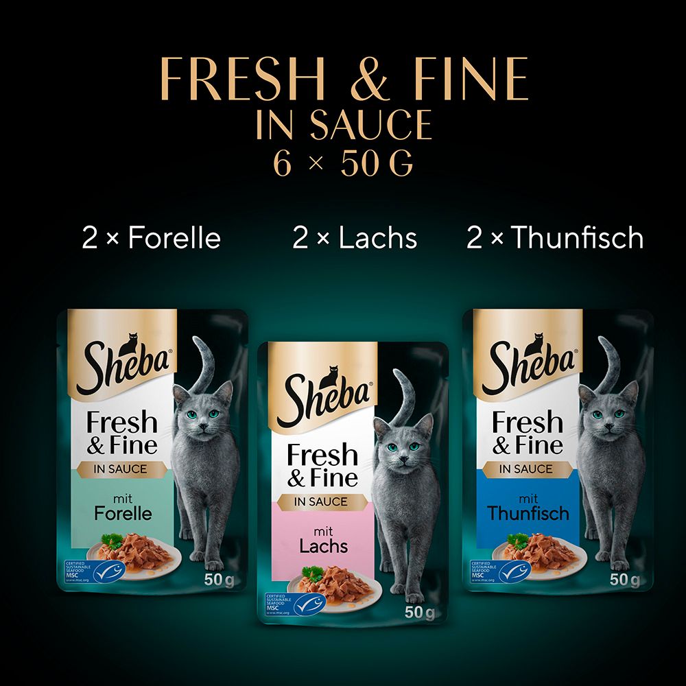Drei Packungen Sheba Frisch & Fein Katzennahrung in Soße: Forelle, Lachs, Thunfisch.