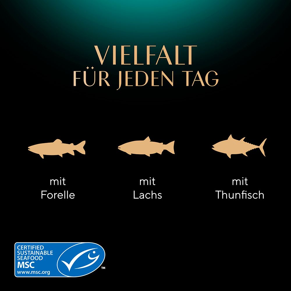 Drei Fischsymbole: Forelle, Lachs, Thunfisch. MSC-Siegel.