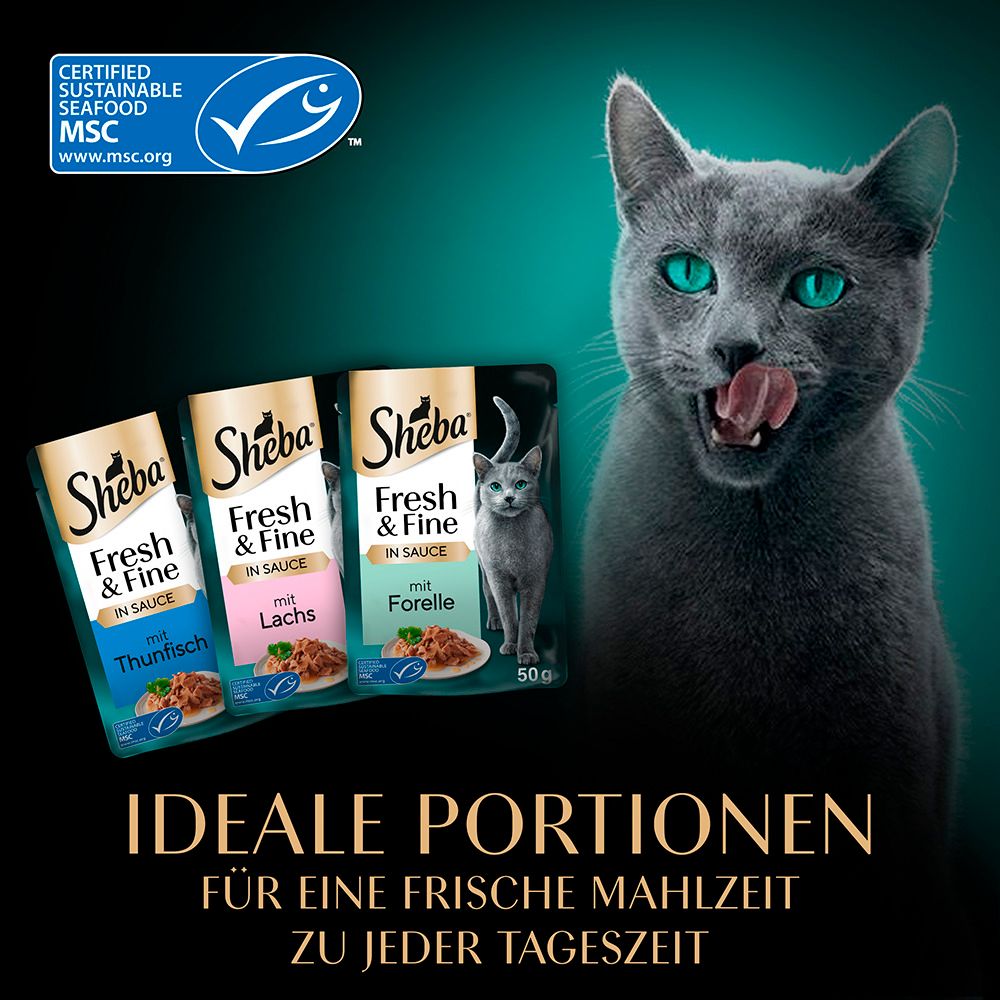 Fütterungsempfehlung für Katzenfutter nach Gewicht: 3kg, 4kg, 5kg.