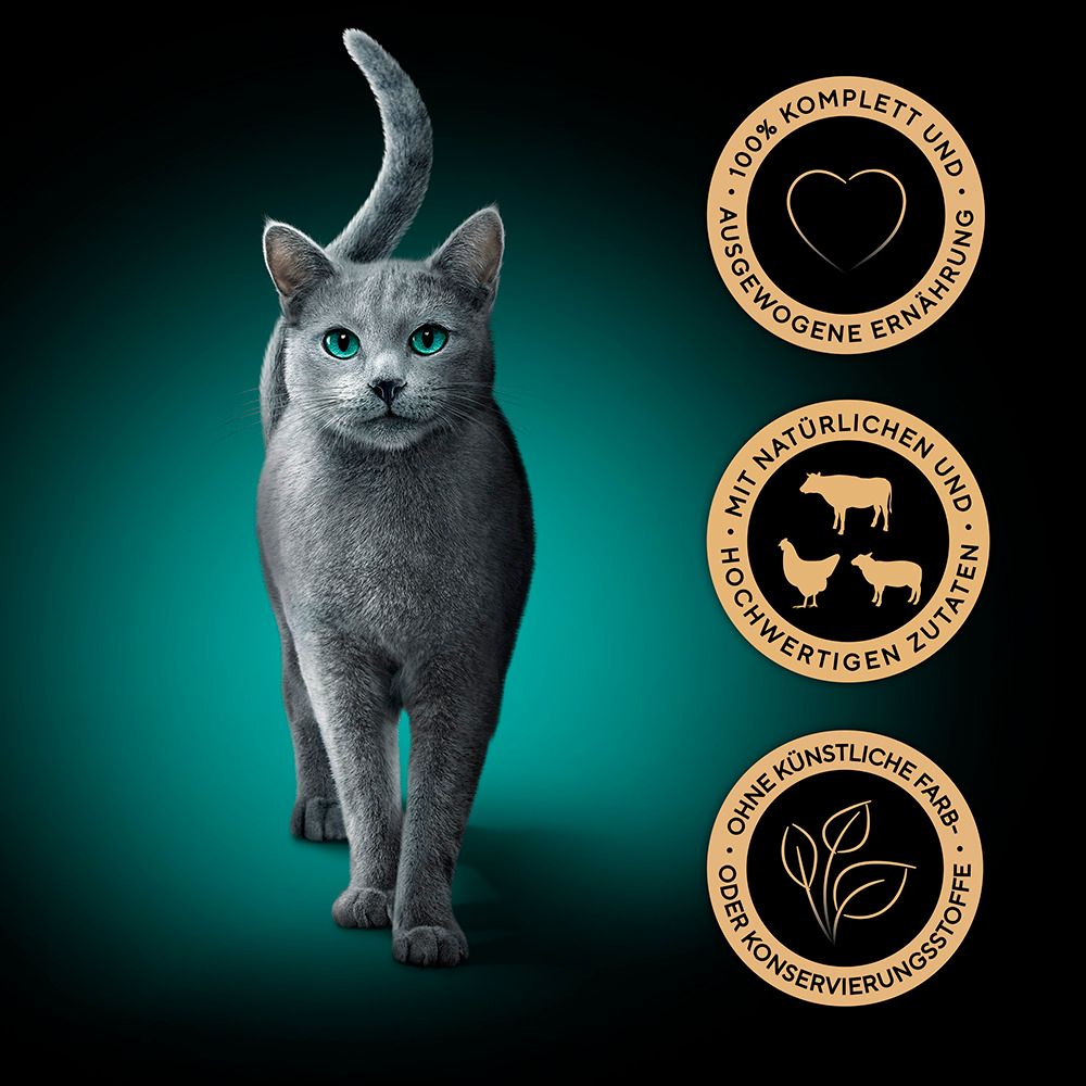 Sheba Futterempfehlung pro 24h für Katzen von 3-5kg.