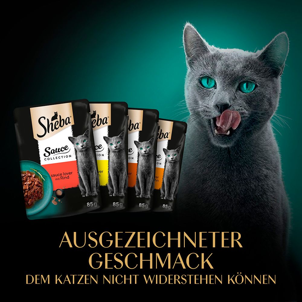 Sheba Sauce Collection mit Pute in heller Sauce, 85g Schale.