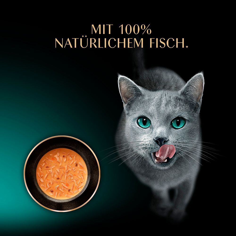 Graue Katze leckt sich die Schnauze vor einer Schale mit Fischfutter. Mit 100% natürlichem Fisch.
