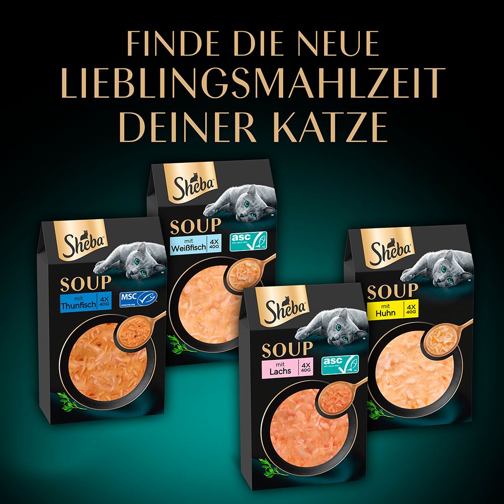 Sheba Selection Multipack 4x 85g. Herzhafte Komposition in Sauce. Mit Huhn, Ente, Pute.