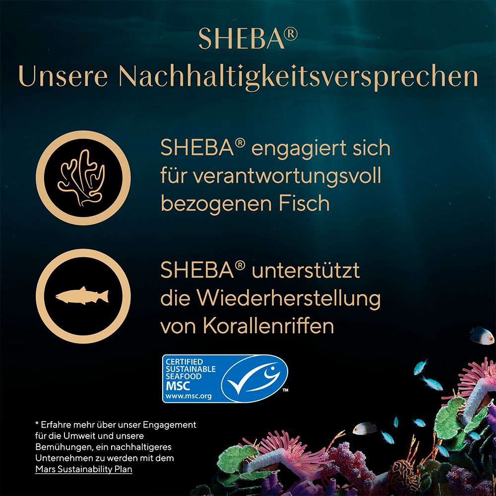Sheba Nachhaltigkeitsversprechen: MSC-zertifizierter Fisch, Unterstützung der Korallenriff-Wiederherstellung.