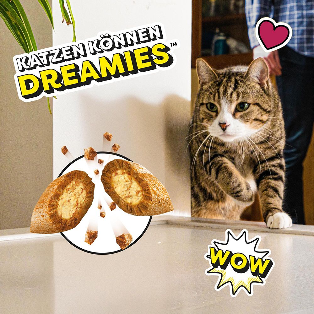 Katzen können Dreamies fressen, mit zwei Leckerlis.