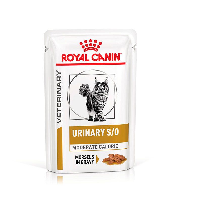 ROYAL CANIN® VETERINARY URINARY S/O MODERATE CALORIE Feuchtnahrung für Katzen