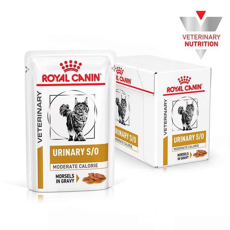 Royal Canin Veterinary Urinary S/O Ageing 7+ Trockenfutter für Hunde.