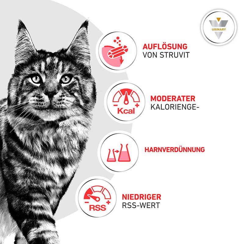 Royal Canin Urinary S/O Index zur Unterstützung eines gesunden Harnmilieus.
