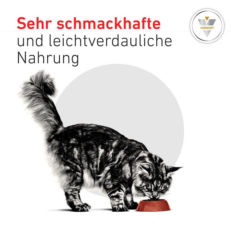 Royal Canin Pill Assist S für kleine Hunde, Beutel mit Leckerlis und Pillen.