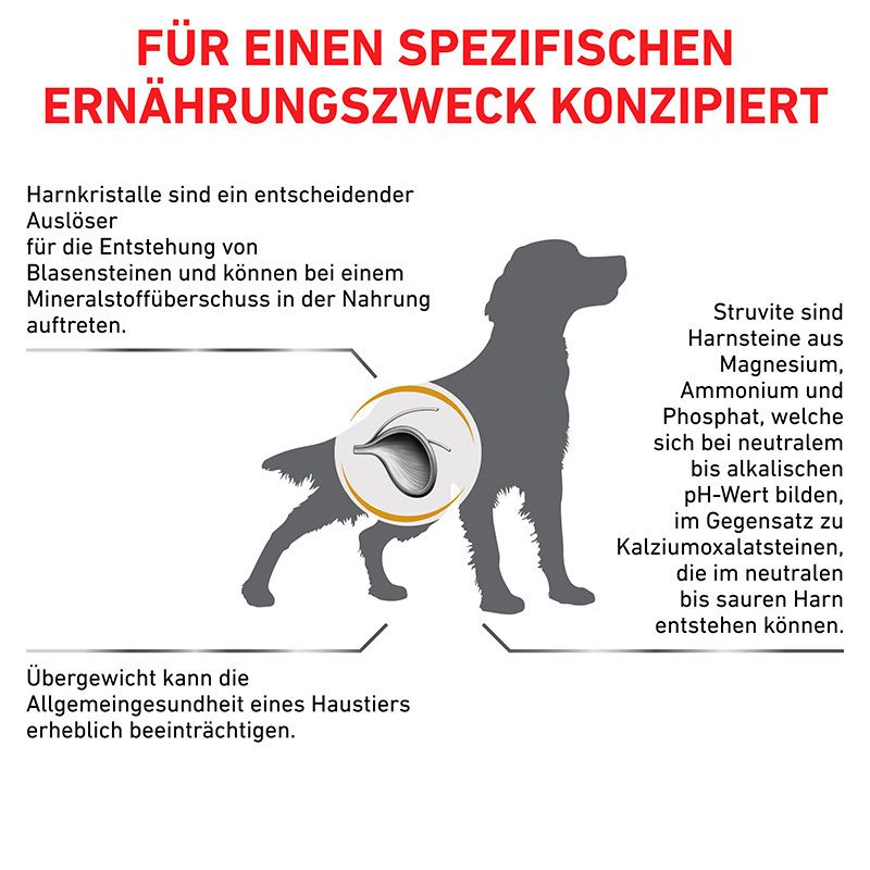 Grafik eines Hundes mit Erklärungen zu Harnsteinen und Übergewicht.