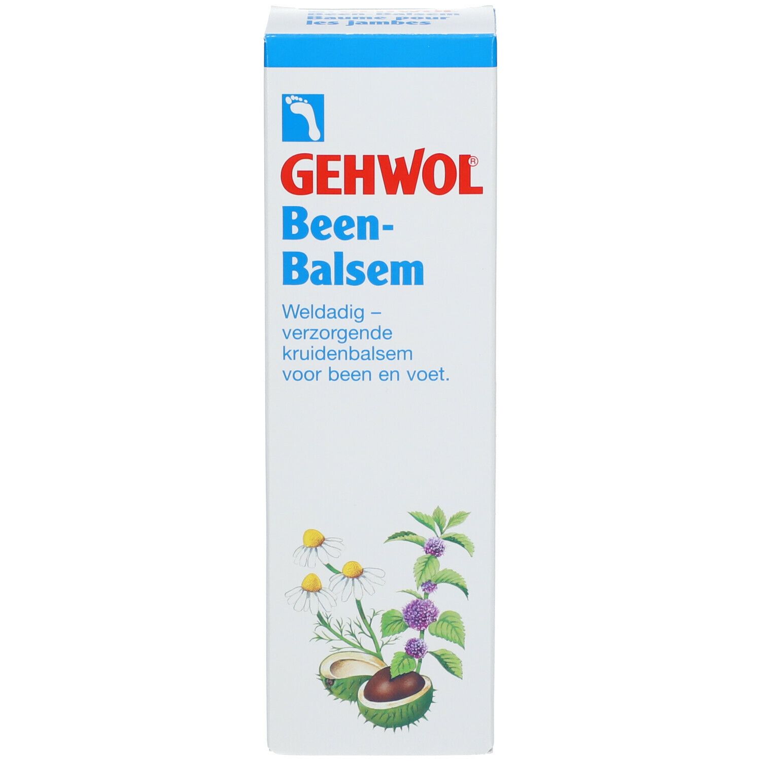 Witte doos met blauw deksel. Opschrift: GEHWOL Been-Balsem. Illustratie van kruiden. Nederlandse tekst.