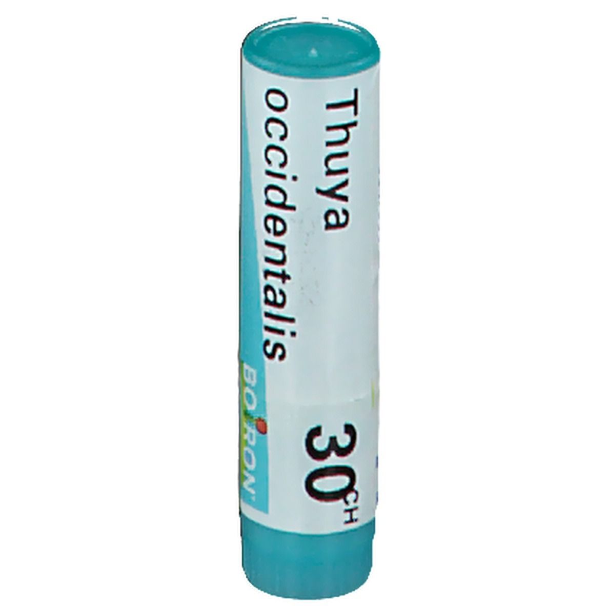 Tube cylindrique avec étiquette blanche. Inscription : Thuya occidentalis 30CH, Boiron. Couvercle et base turquoise.