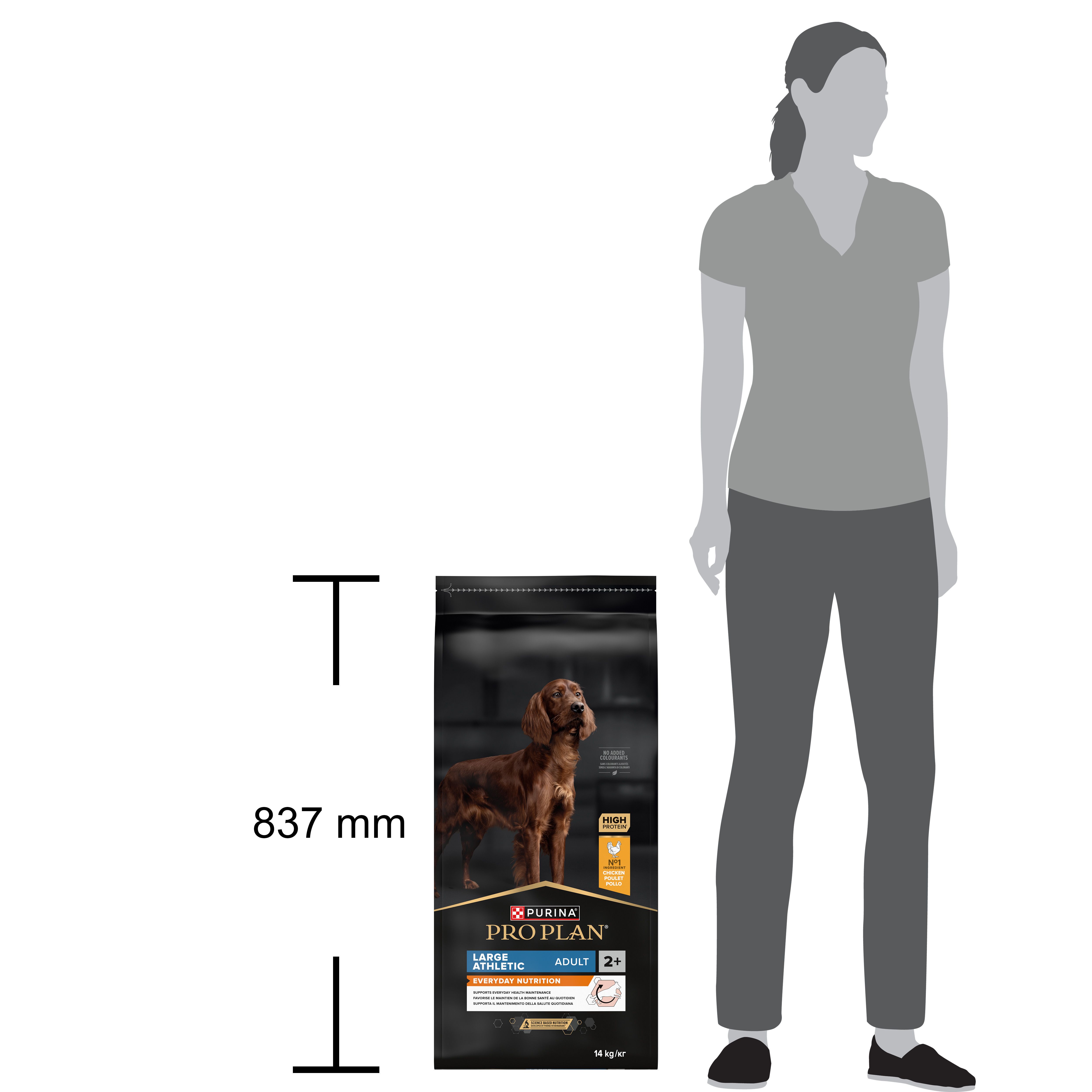 Rückseite einer großen schwarzen Hundefutterpackung mit detaillierten Nährwertangaben und Produktinformationen.