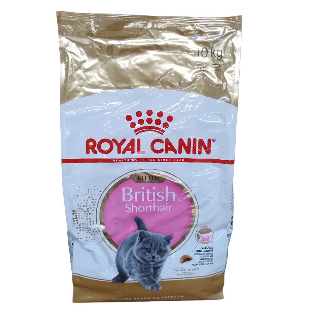 Royal Canin FBN Kitten British Shorthair 10kg