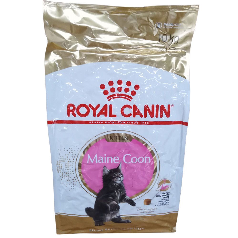 Royal Canin FBN Kitten Maine Coon 10kg