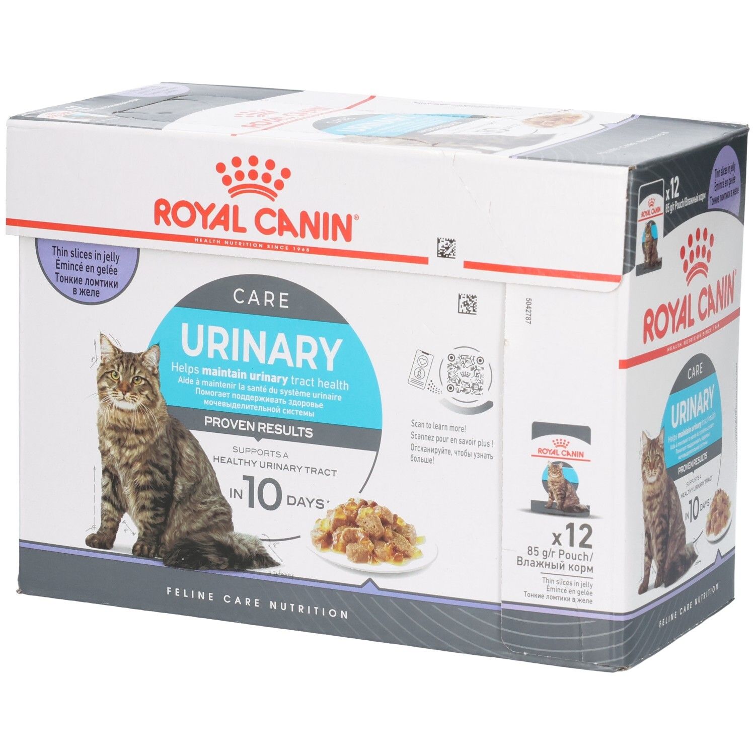Royal Canin FCN Urinary Care IN Jelly 85g x 12