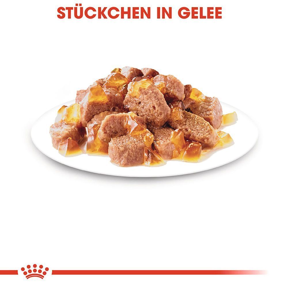Ein Teller mit "Stückchen in Gelee" Katzenfutter.