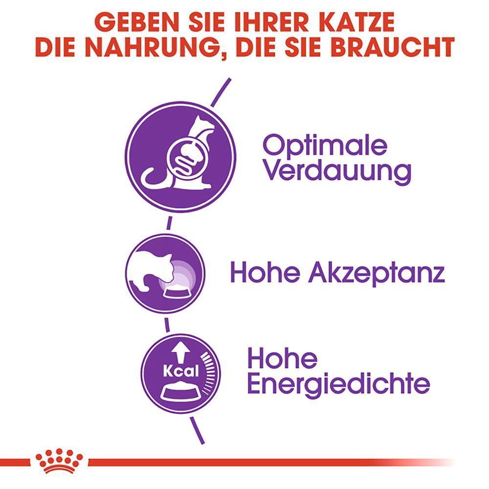Grafiken für Royal Canin: Optimale Verdauung, Hohe Akzeptanz, Hohe Energiedichte.