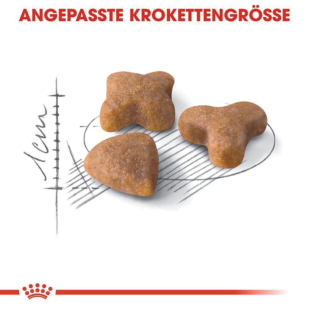 Drei Royal Canin Kroketten in verschiedenen Formen, daneben eine Skizze zur Größenanpassung.