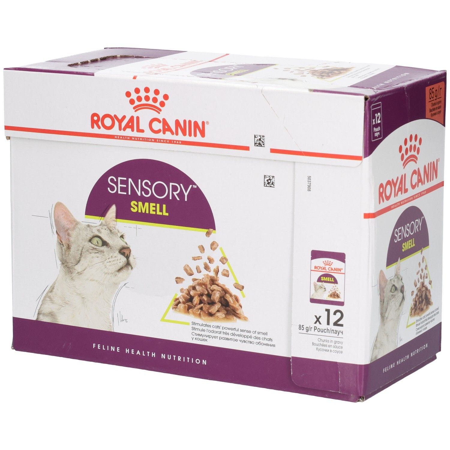 Royal Canin FHN Sensory Smell IN Gravy 85g x 12