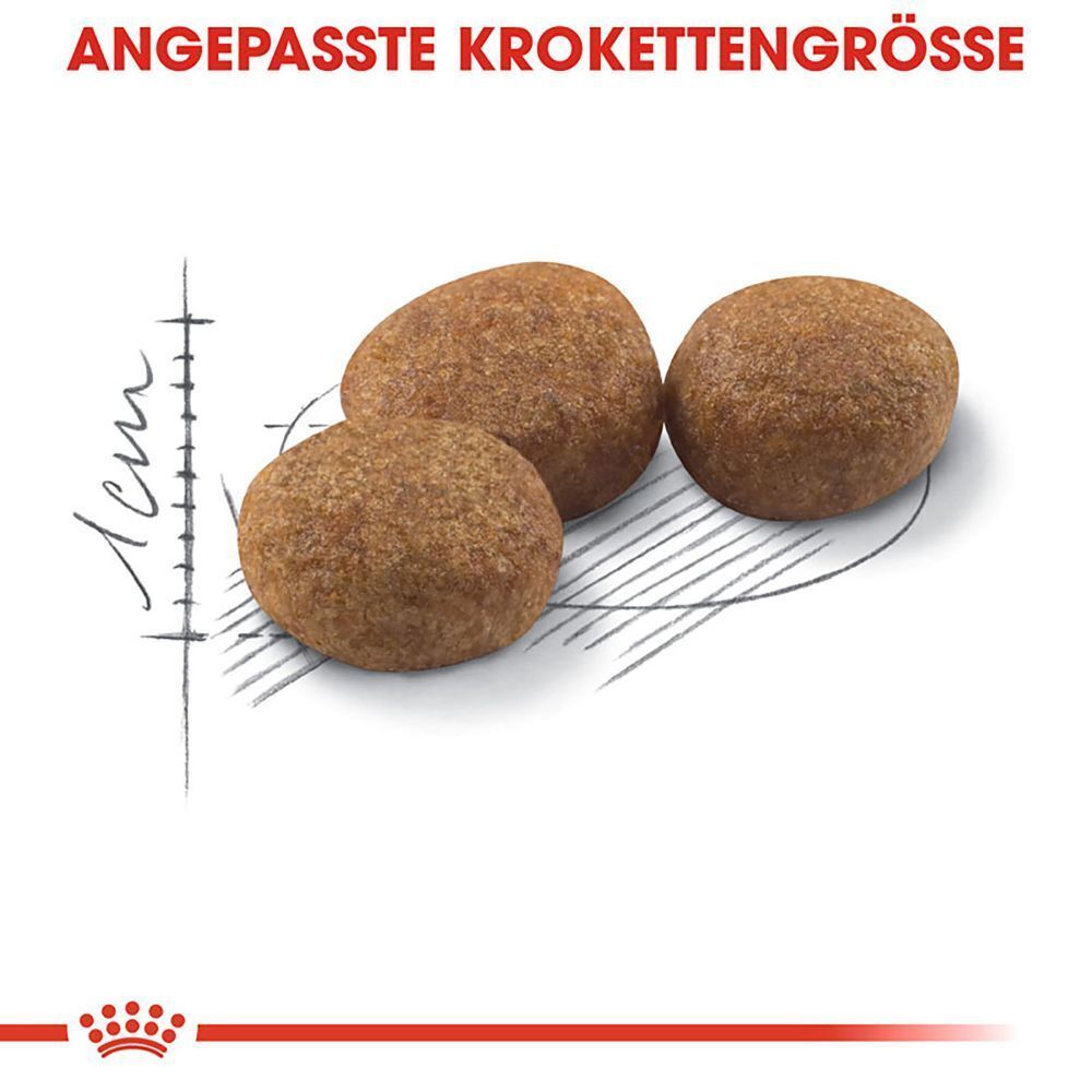 Drei braune Kroketten mit einer Größenangabe von 1 cm.