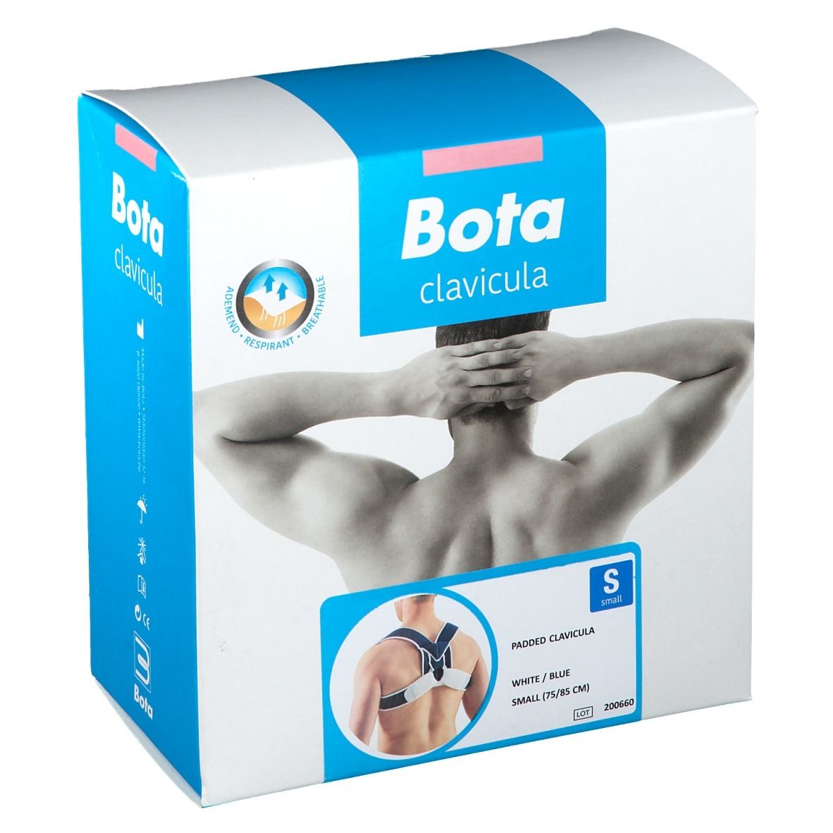 Bota Padded Clavicula Splint Small