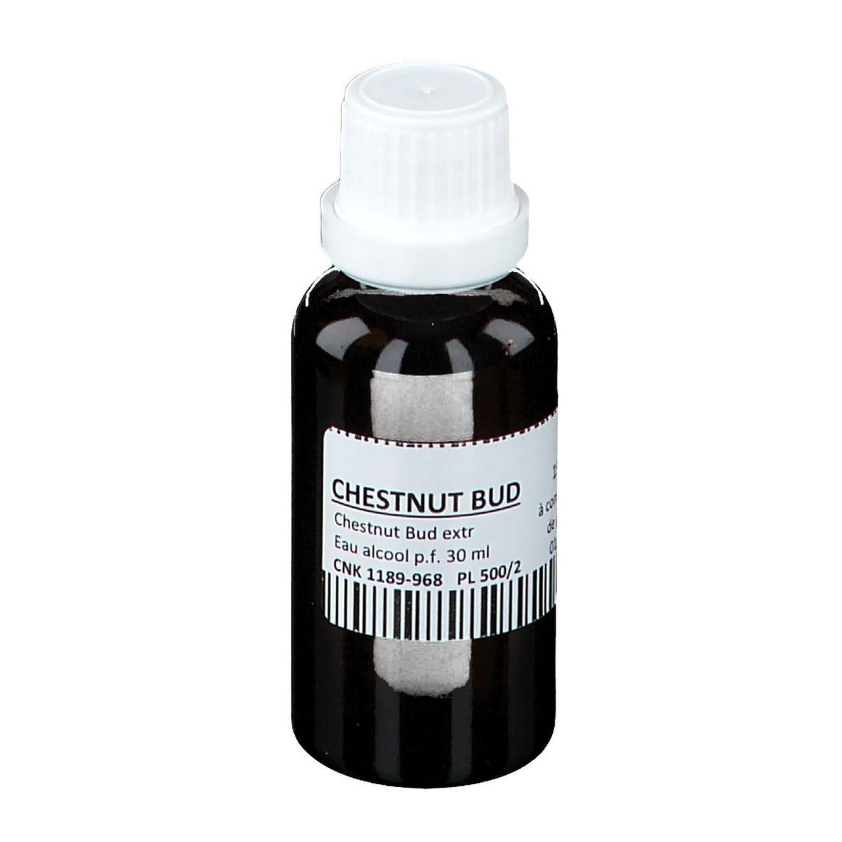 Dynarop Extrait de bourgeon de châtaignier