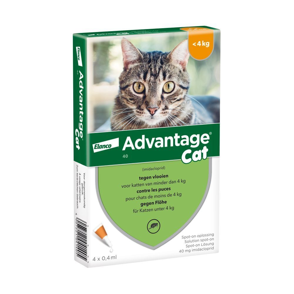Verpakking Advantage Cat, kat op de verpakking. Bevat 4 pipetten. Teksten in het Duits, Nederlands, Frans en Engels.