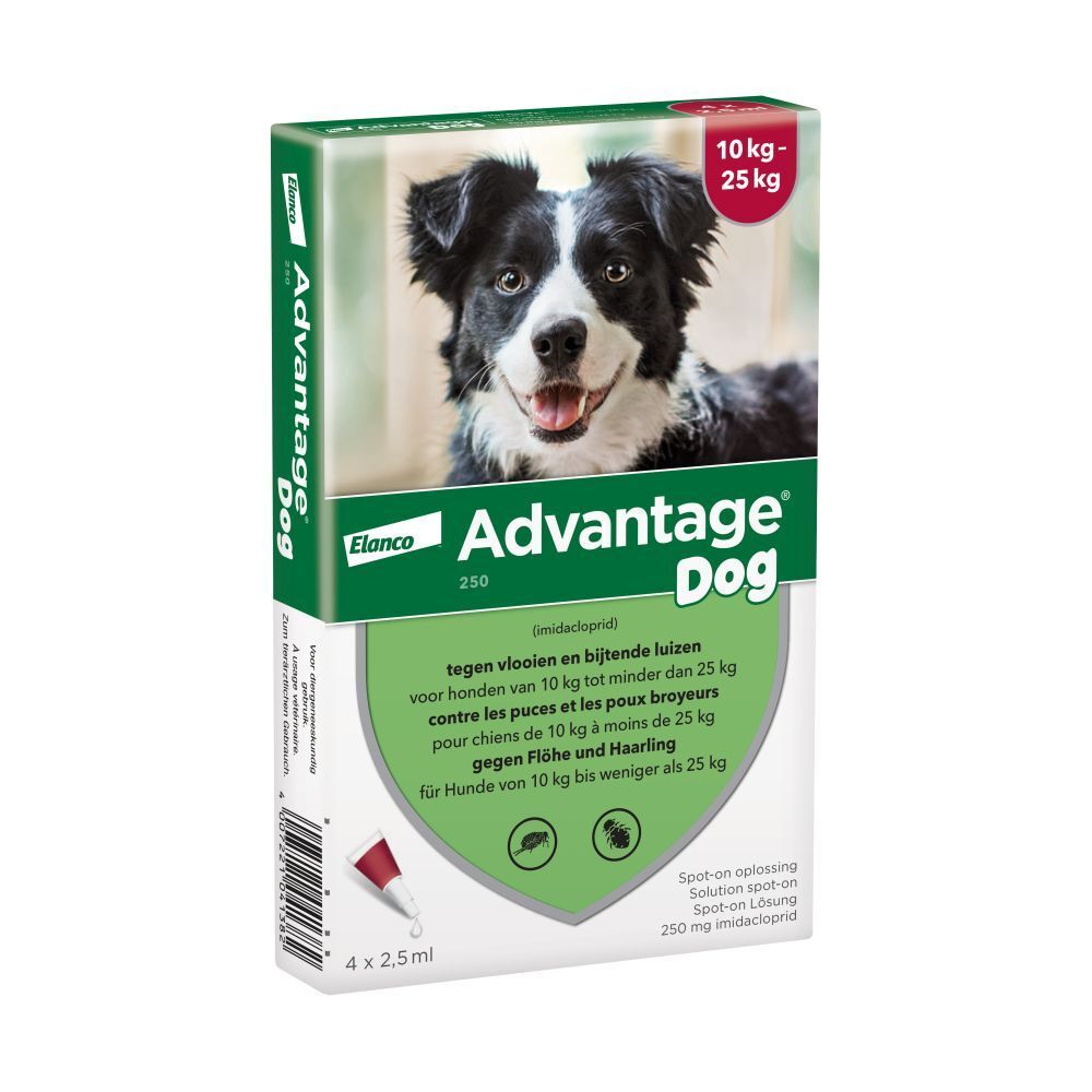 Verpakking met afbeelding en tekst. Bevat 4 pipetten. Voor honden 10-25 kg.