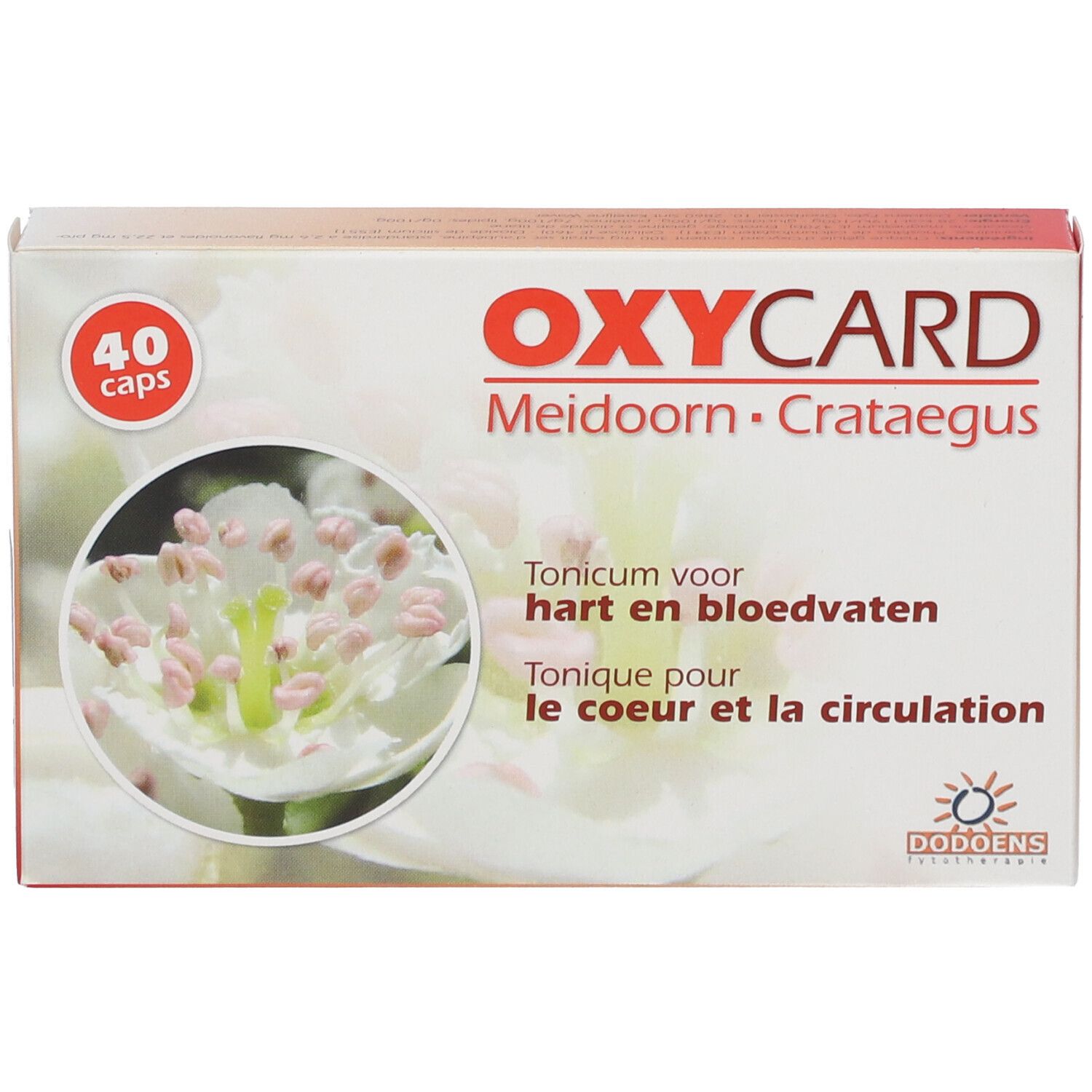 Oxycard-verpakking met 40 capsules. Opschrift: Oxycard, Meidoorn Crataegus. Afbeelding van een bloem.