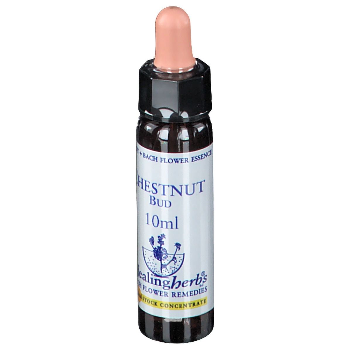 Flacon en verre brun avec compte-gouttes. Inscription: CHESTNUT BUD 10ml. Marque: Healingherbs.
