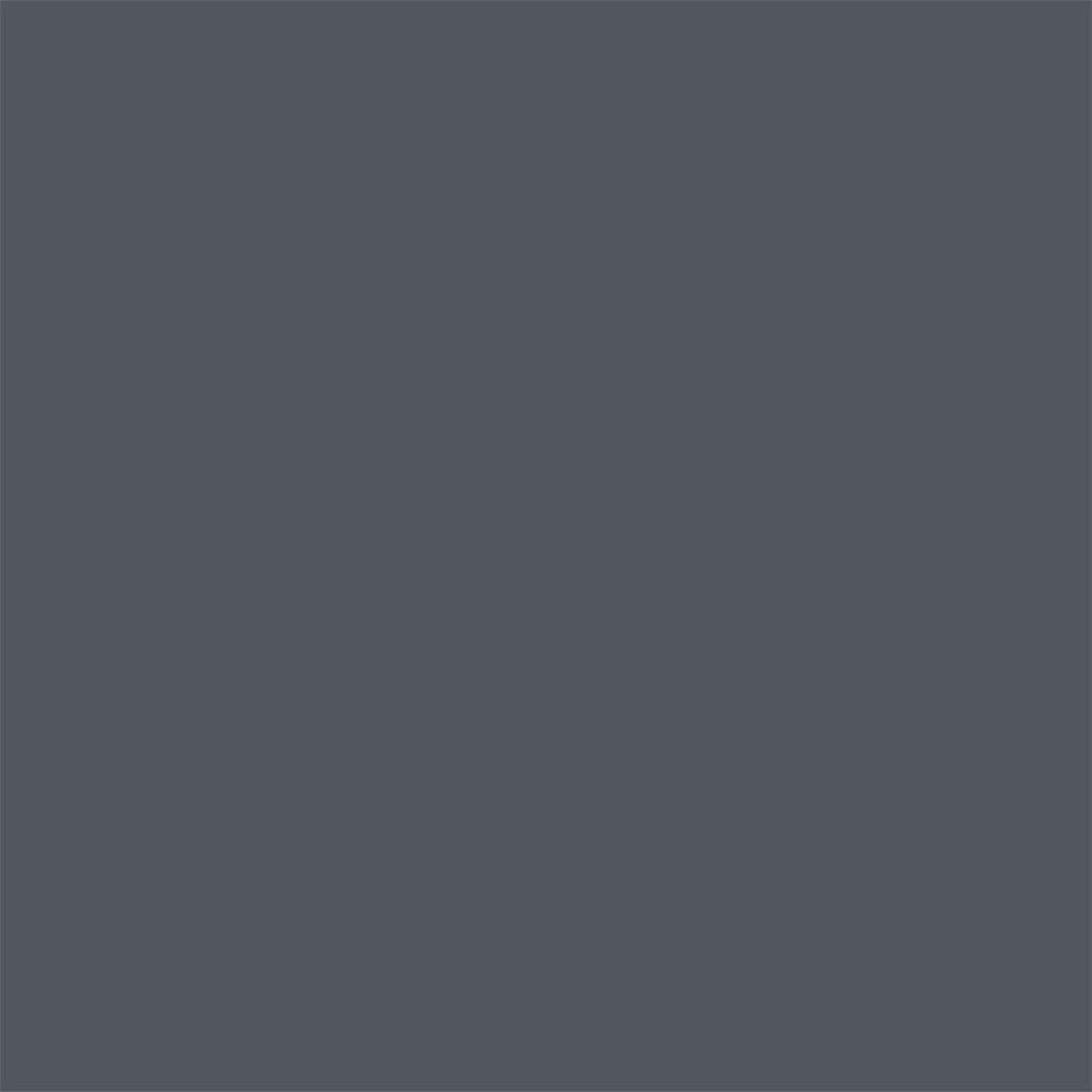 Fond gris uni.