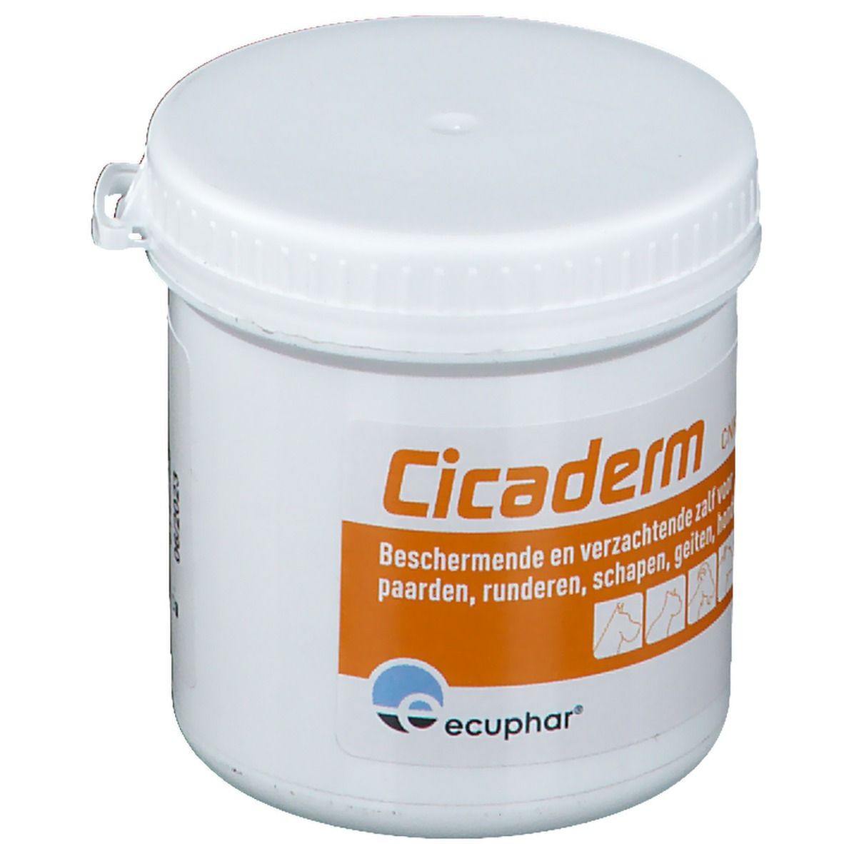 Weißer Tiegel mit Deckel. Aufschrift Cicaderm, orangefarbener Streifen mit Text. Logo von ecphar. 100 g.