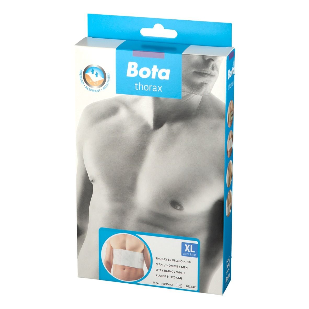 Boîte Bota Thorax Belt ES Men XL. Image du produit. Taille XL. Produit blanc illustré sur le ventre.